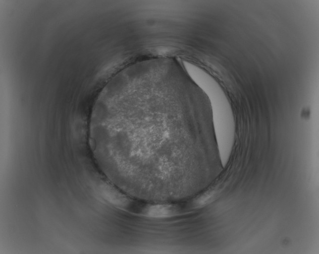 X0000092020461200709271553