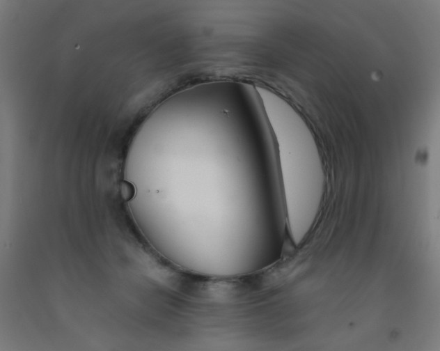 X0000092020462200709271553