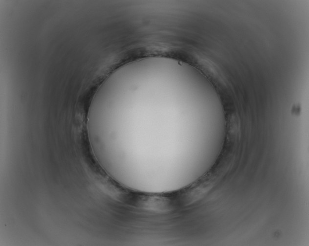 X0000092020463200709271553