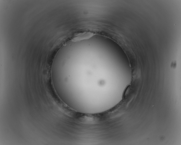 X0000092020464200709271553