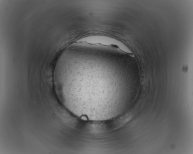 X0000092020466200709271553