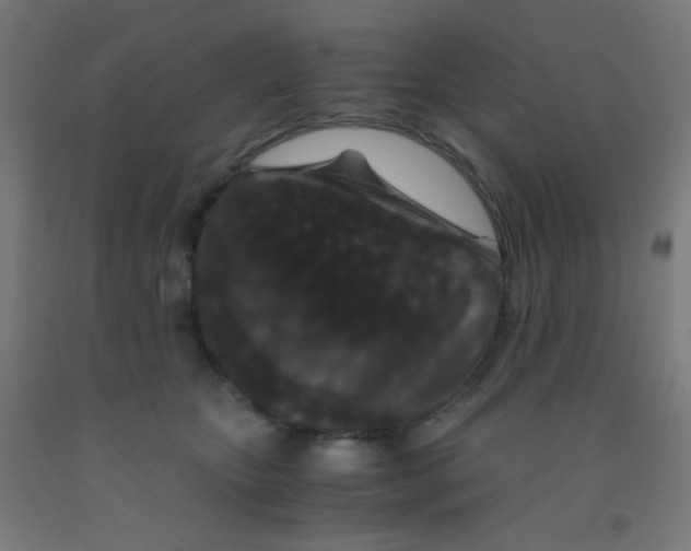 X0000092020467200709271553