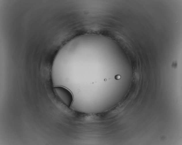 X0000092020468200709271553