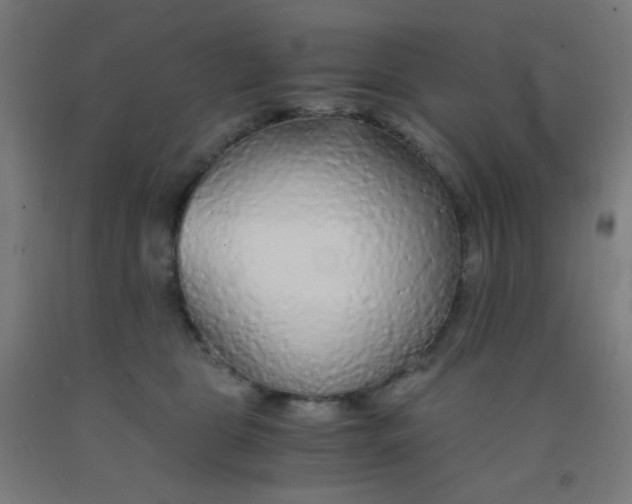 X0000092020469200709271553