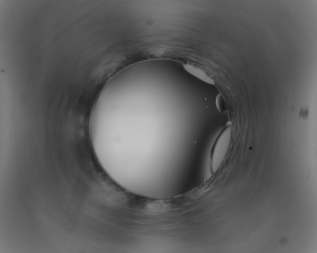 X0000092020470200709271553