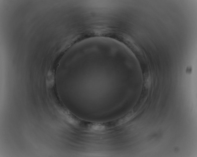 X0000092020471200709271553