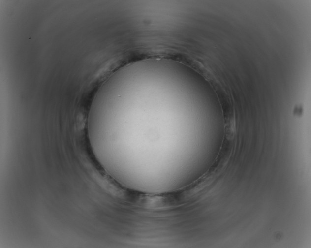 X0000092020472200709271553