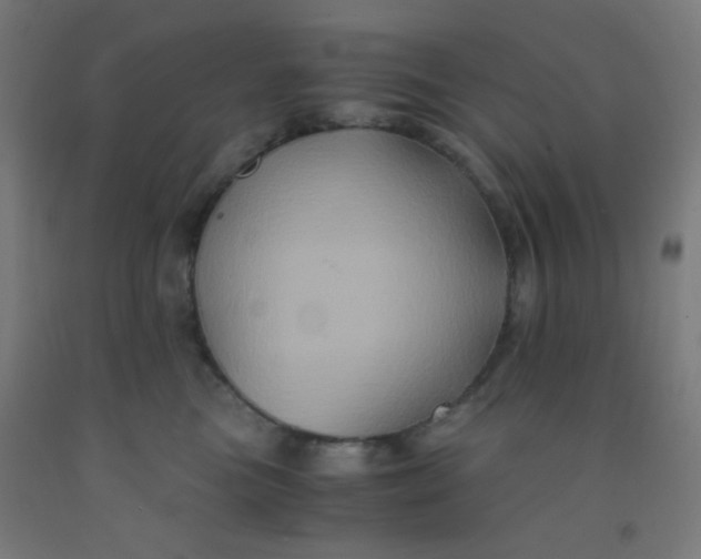 X0000092020473200709271553