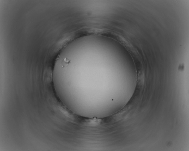 X0000092020474200709271553