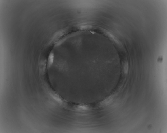 X0000092020475200709271553