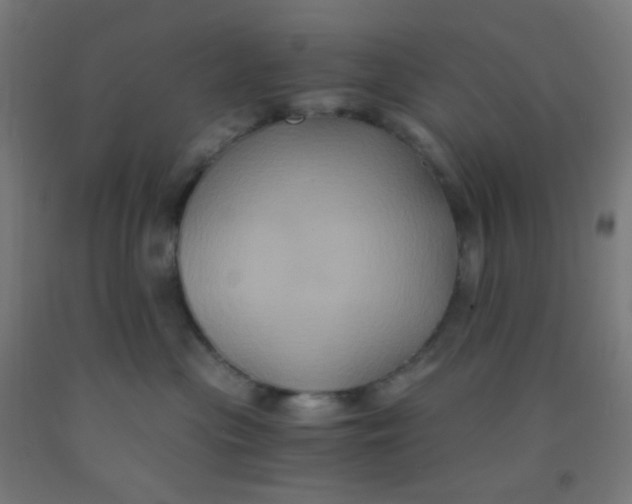 X0000092020477200709271553