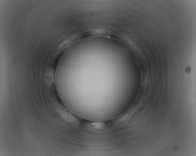 X0000092020478200709271553