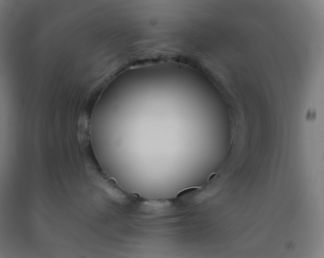 X0000092020480200709271553