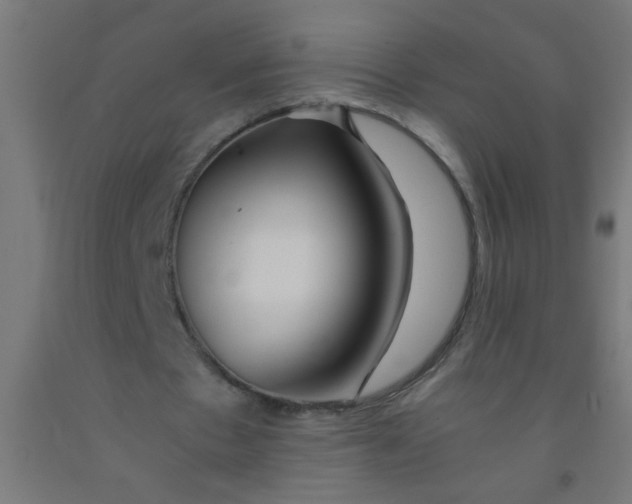 X0000092020481200709271552