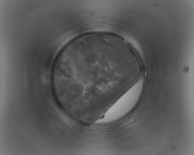 X0000092020483200709271552