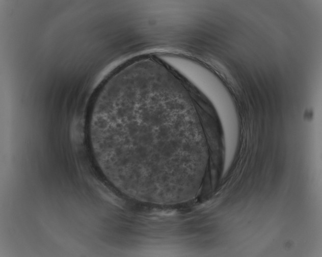 X0000092020484200709271552