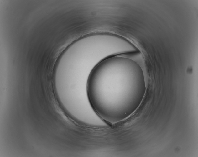 X0000092020485200709271552