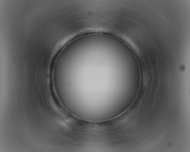 X0000092020486200709271552