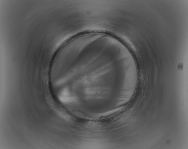 X0000092020487200709271552