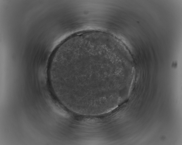 X0000092020488200709271552