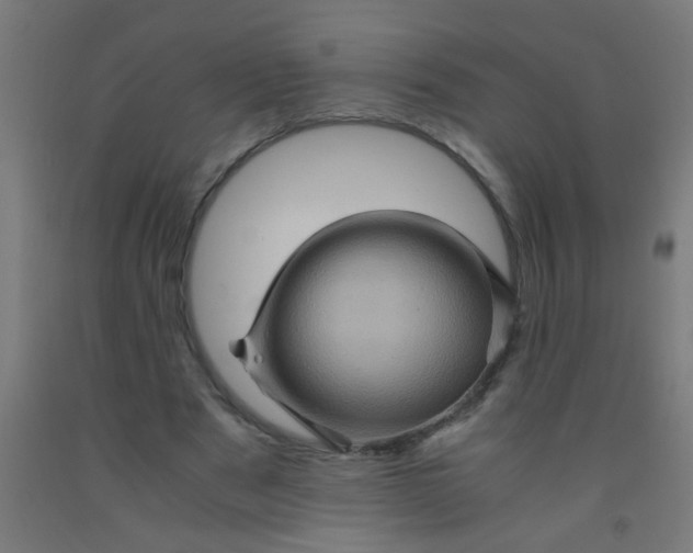 X0000092020489200709271552