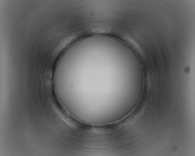 X0000092020490200709271552