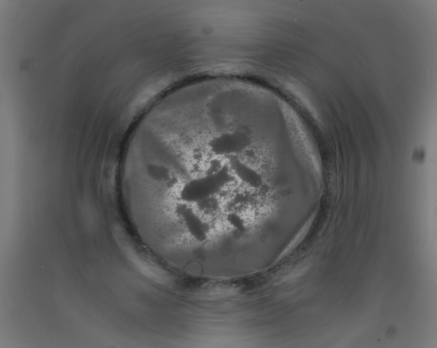 X0000092020491200709271552