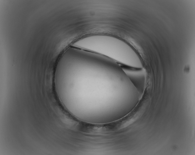 X0000092020493200709271552