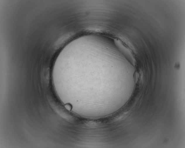 X0000092020494200709271552