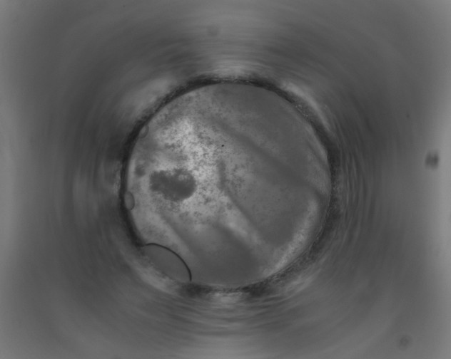 X0000092020495200709271552