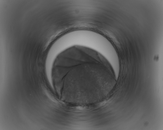 X0000092020496200709271552