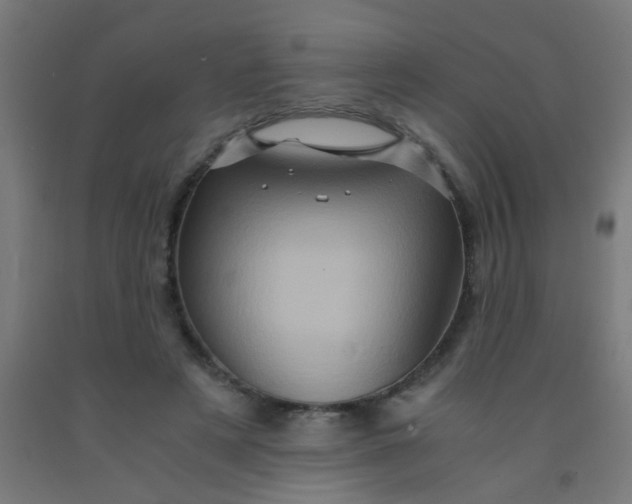 X0000092020497200709271552