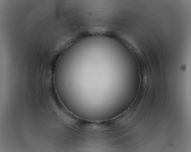 X0000092020498200709271552