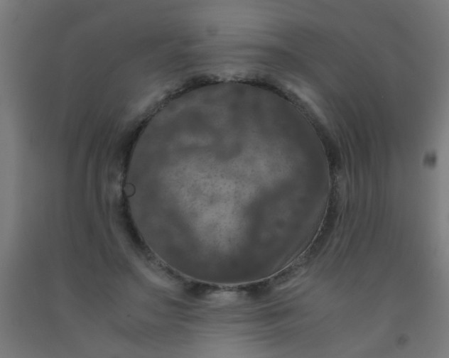 X0000092020499200709271552