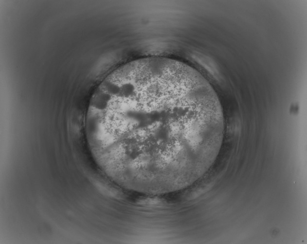 X0000092020503200709271552