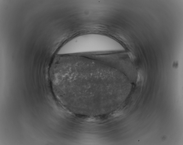 X0000092020504200709271552