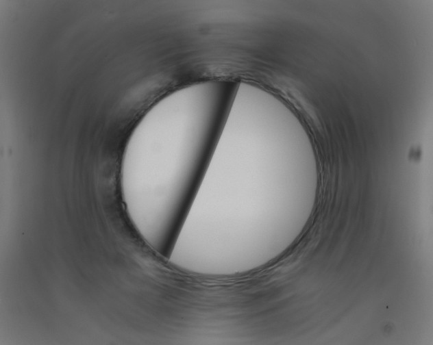 X0000092020505200709271552