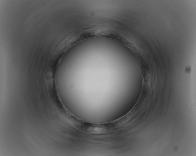 X0000092020506200709271552