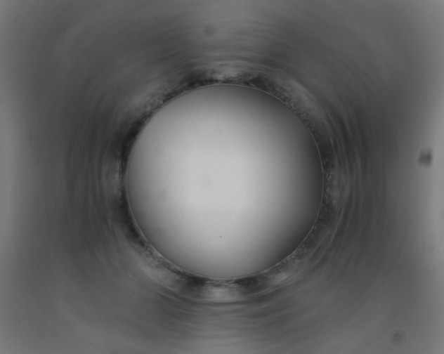 X0000092020510200709271552