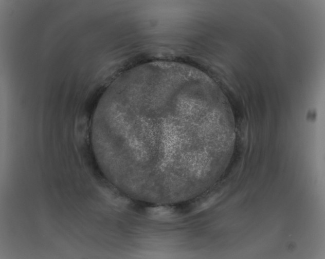 X0000092020511200709271552