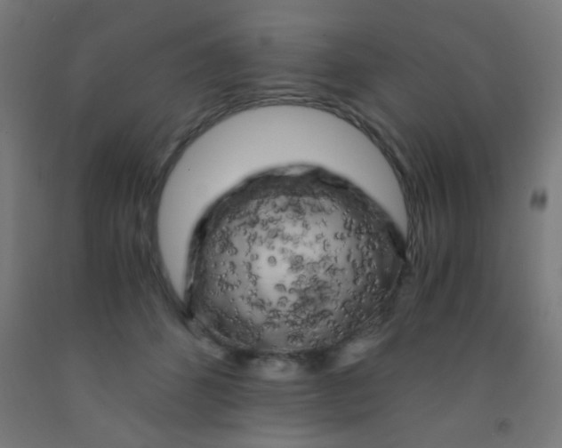 X0000092020512200709271552