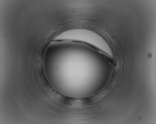 X0000092020513200709271552