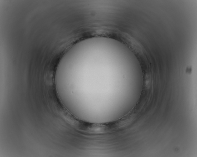 X0000092020514200709271552