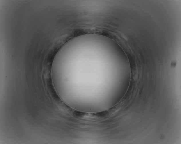 X0000092020515200709271552