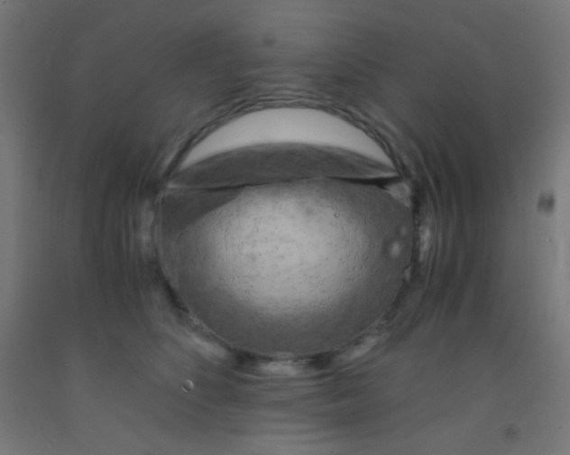 X0000092020516200709271552