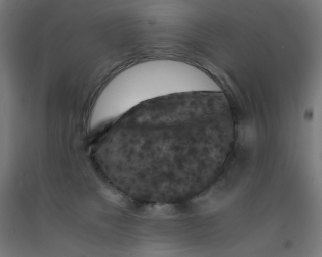 X0000092020517200709271552