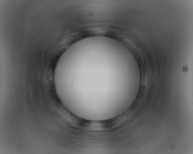 X0000092020518200709271552