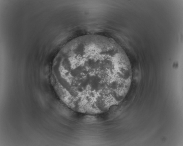 X0000092020519200709271552