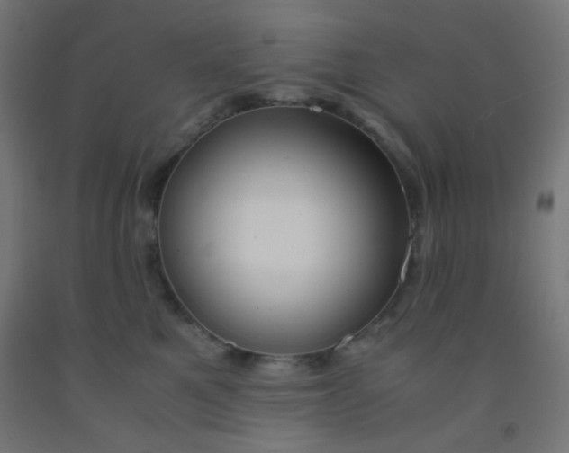 X0000092020521200709271552