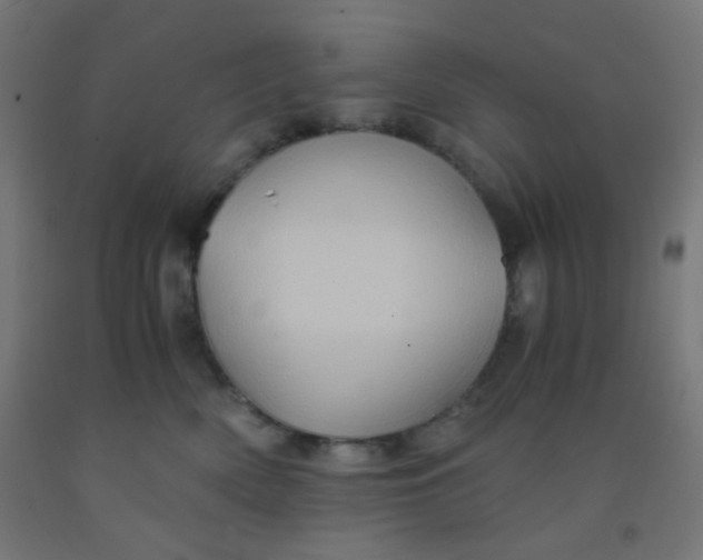 X0000092020522200709271552